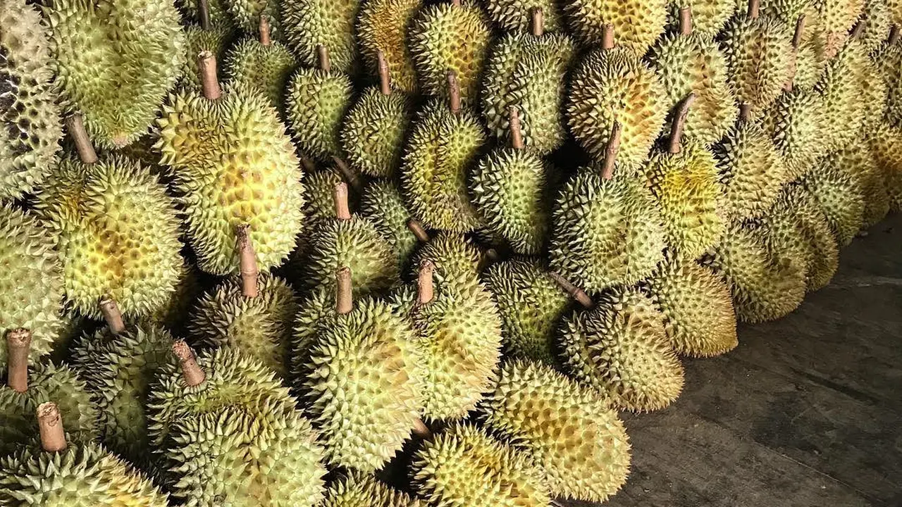 [Bintang] Durian