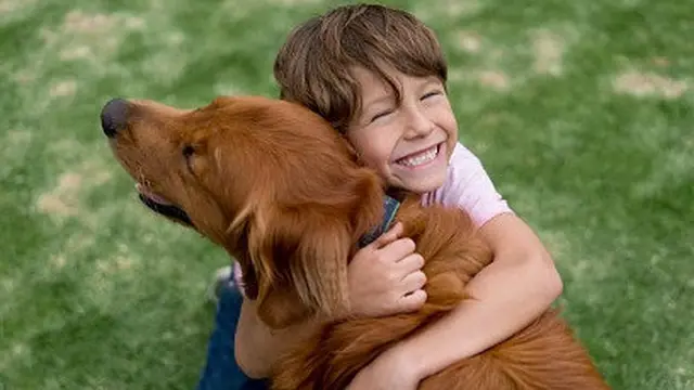 ilustrasi hewan dan manusia.