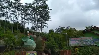 Pagi-Pagi Pesta Buah di Lembah Tretes Kediri