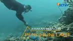 Penggunaan zat kimia dalam menangkap ikan sebenarnya menyerempet pelanggaran hukum