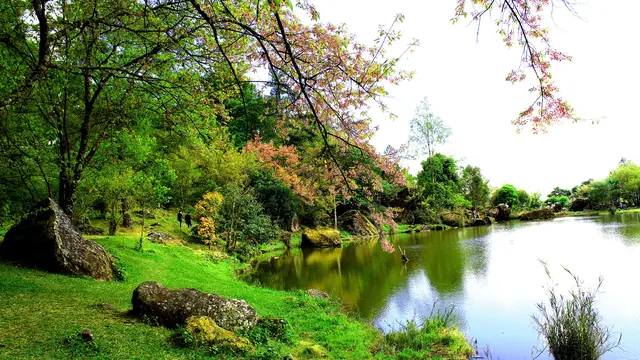 ilustrasi ekosistem/icon0.com/pexels