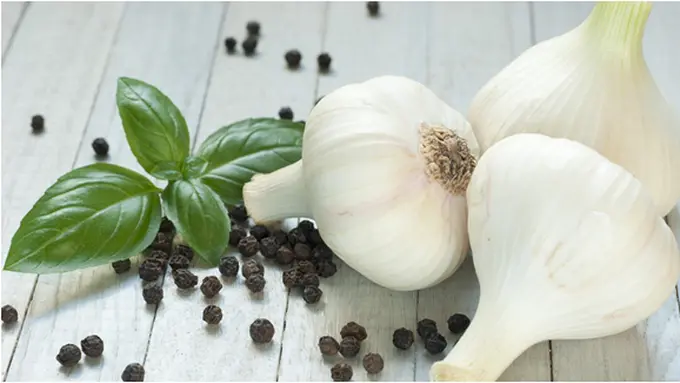 Courtesy ShutterStock.com
