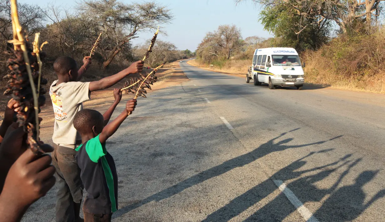 Sejumlah anak-anak menawarkan daging tikus yang sudah diolah menjadi makanan ke pengendara yang melintas di Chidza, Zimbabwe (23/9). (AP Photo/Tsvangirayi Mukwazhi)