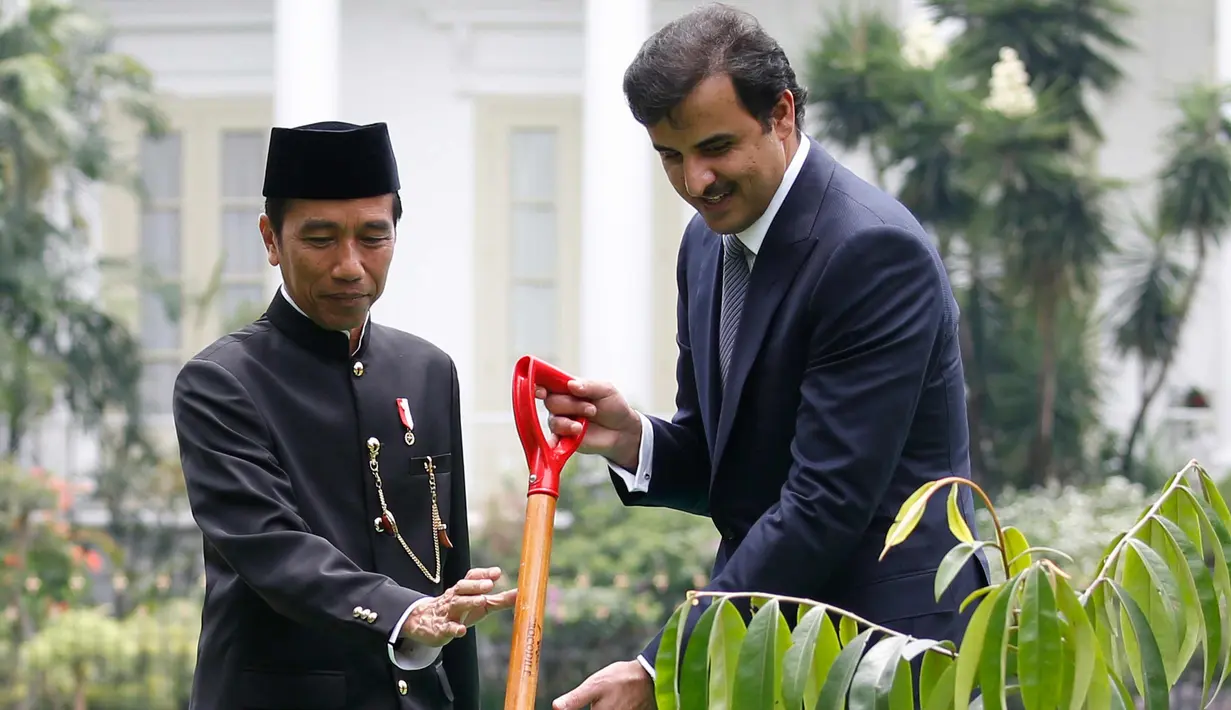 Presiden Joko Widodo (kanan) saat menemani Emir Qatar Syekh Tamim bin Hamad Al Thani menanam pohon eboni di Istana Bogor, Jawa Barat, Rabu (18/10). Pohon eboni merupakan pohon endemik atau kayu hitam Sulawesi. (AFP Photo/Pool/Beawiharta)