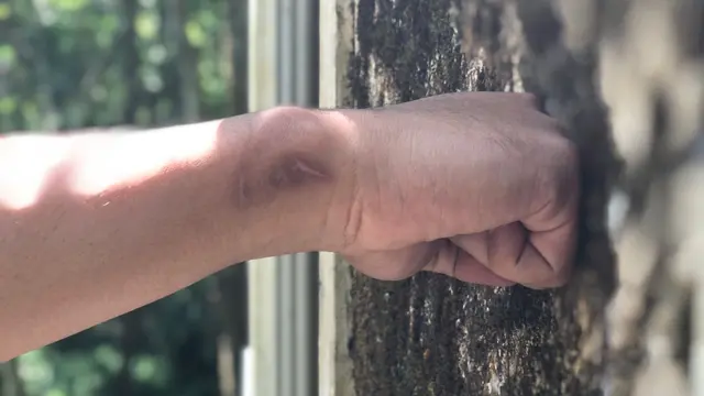 Penyebab Anak Melakukan Bullying di Sekolah, Kesalahan dalam Pola Asuh dan Solusi Lainnya