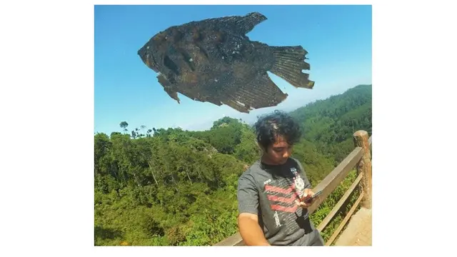 6 Editan Foto Ikan Terbang di Langit Ini Absurd, Gagal Keren