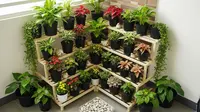 8 Model Kebun Tanaman Hias di Teras 1x2 Meter, Lahan Sempit Tetap Indah