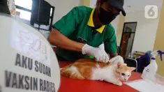 Petugas menyuntikkan vaksin rabies ke seekor kucing milik warga saat kegiatan Vaksinasi Rabies Massal Gratis se-Kota Depok di Kantor kecamatan Cinere, Depok, Jawa Barat, Sabtu (18/11/2023). (merdeka.com/ Arie Basuki)