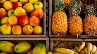 8 Pohon Buah Paling Menguntungkan untuk Dibudidayakan, Peluang Cuan Menjanjikan