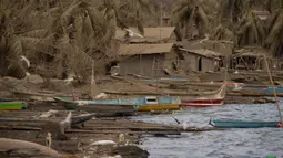 Rumah-rumah yang ditinggalkan dan pohon kelapa tertutup abu vulkanik letusan Gunung Taal di Laurel, Provinsi Batangas, Filipina, Rabu (16/1/2020). Pihak berwenang Filipina memperingatkan bahwa potensi Gunung Taal untuk kembali meletus masih tinggi. (Ted ALJIBE / AFP)