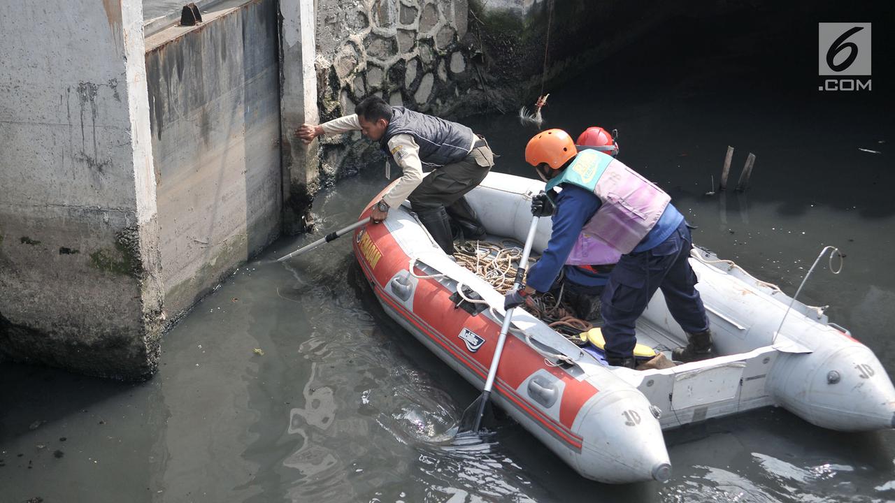 Pencarian Buaya di Kali Grogol Jakarta