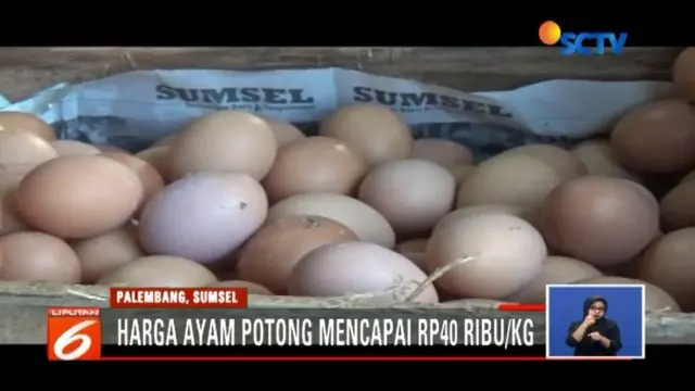 Tak hanya di Jakarta. Harga daging dan telur ayam di sejumlah daerah juga mengalami kenaikan. Akibatnya, beberapa pembeli terpaksa beralih mengonsumsi ikan, bahkan membeli kaki ayam.