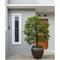Pohon Buah Mini Ini Bikin Depan Rumah Minimalis Type 45 (Image by Gemini AI)