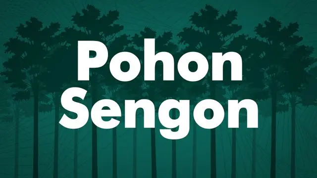 PT PLN (Persero) akhirnya memaparkan hasil investigasi penyebab mati listrik missal yang melanda Banten, Jabodetabek, dan Jawa Barat pada Minggu (4/8/2019). Hasil investigasi mengungkap, mati listrik  diduga dipicu oleh pohon yang ada di sekitar jari...