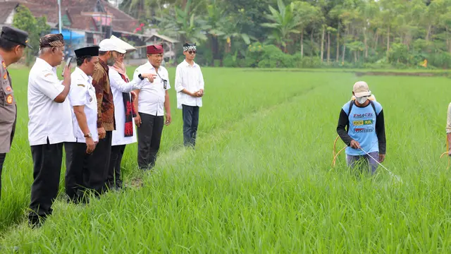 Pemkab Banyuwangi