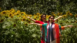 Dua wanita berpose di dekat bunga matahari yang mekar di Olympic Forest Park, Beijing, China (10/7). Pihak berwenang mengeluarkan peringatan gelombang panas yang diperkirakan melonjak di atas 95 derajat (35 C ). (AP Photo/Mark Schiefelbein)