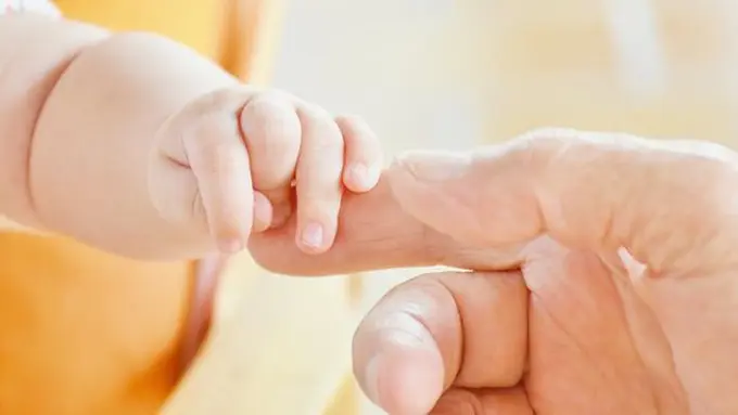 copyright pexels.com/pixabay.com