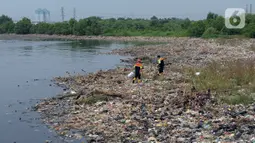 Sampah-sampah yang timbul di hutan mangrove Muara Angke berasal dari dua titik, sampah dari laut dan Kali Angke. (merdeka.com/Imam Buhori)