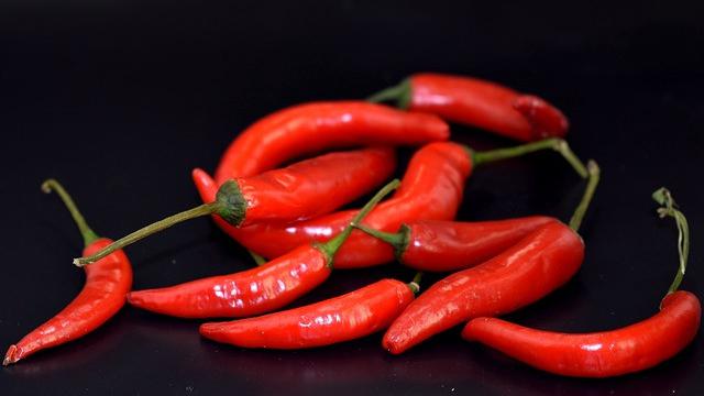 Ilustrasi cabe rawit