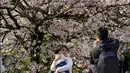 Wisawatan berfoto dengan latar belakang bunga sakura yang mekar penuh pada musim semi di Chidorigafuchi, Tokyo, Senin (26/3). Pada musim semi, wisatawan dapat menikmati keindahan bunga yang terkenal asal Jepang itu. (AP Photo/Shizuo Kambayashi)