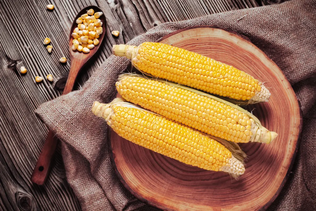 jagung muda