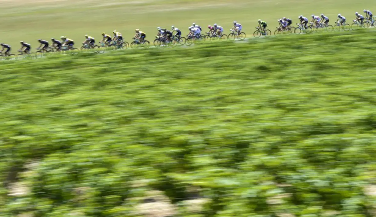 Para pebalap sedang berlomba di Etape 16 Tour de France 2015 yang berjarak 201-km dari Bourg-de-Peage menuju Gap, Prancis. (20/7/2015) (AFP PHOTO/JEFF PACHOUD)