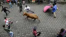 Seorang pria mendekati seekor banteng muda dalam acara lari dikejar banteng di Pillaro, Ekuador, 4 Agustus 2018. Dalam acara ini, lusinan banteng dilepas dan berlari menabraki para pengunjung yang memadati jalan. (AP/Dolores Ochoa)