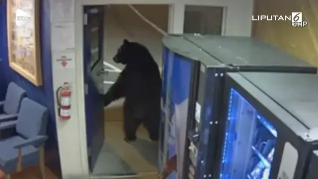 Rekaman kamera cctv menunjukkan seekor beruang masuk kantor polisi. Tak lama berselang, beruang keluar sembari dikejar oleh petugas.