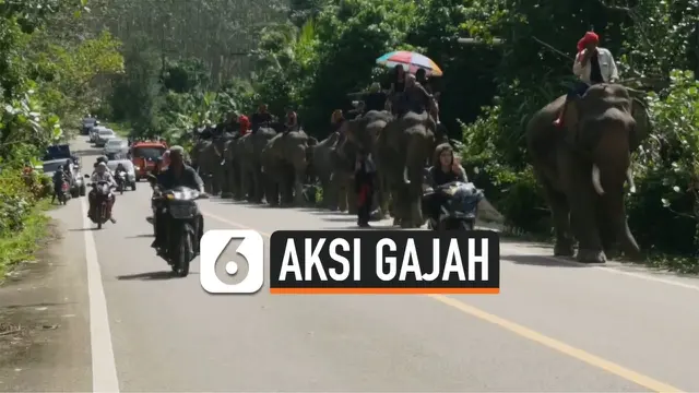 gajah pemakaman