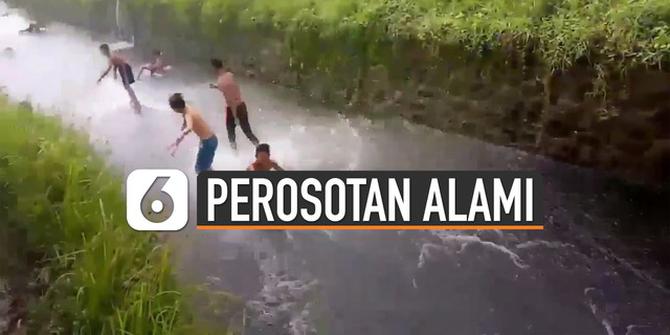 VIDEO: Viral Perosotan Alami di Mojokerto