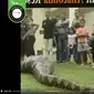 Gambar Tangkapan Layar Video yang Diklaim Ular Anaconda Memangsa Wanita 70 tahun (sumber: Facebook).