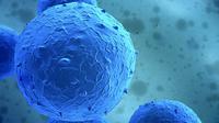 Ilustrasi stem cell atau sel induk (brighamandwomens.org)