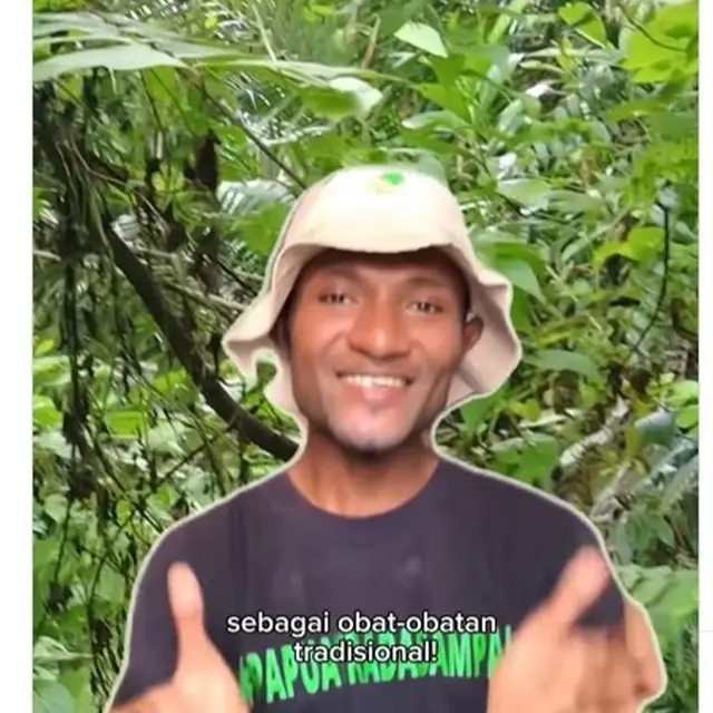 Mengenal Hutan Lembah Grime Nawa Papua, Rumahnya Burung Cendrawasih dan Tanaman yang Bisa Mengobati Penyakit Kulit.  foto: Instagram @greenpeaceid
