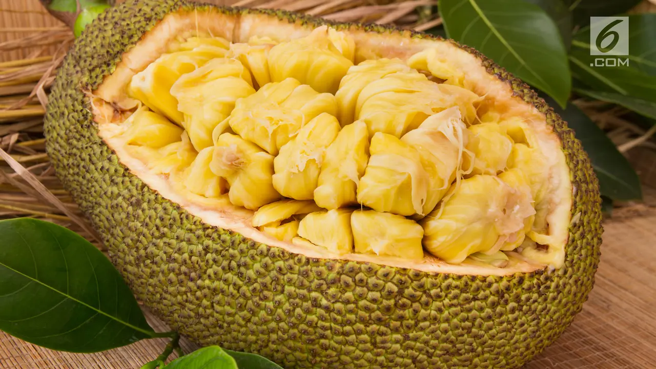 buah nangka