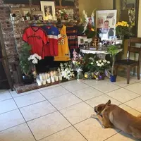 Jax, anjing yang berduka ditinggal wafat tuannya (foto : istimewa)