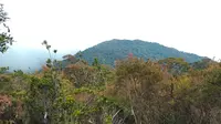 Pemandangan Gunung Benum di Malaysia. (Dok: Gunung Bagging)