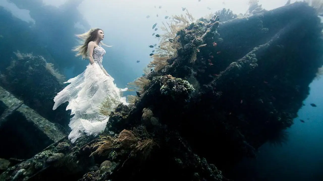Indahnya Foto yang Diambil dari Bawah Laut