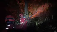 Titik Api di Taman Nasional Babul Bermunculan