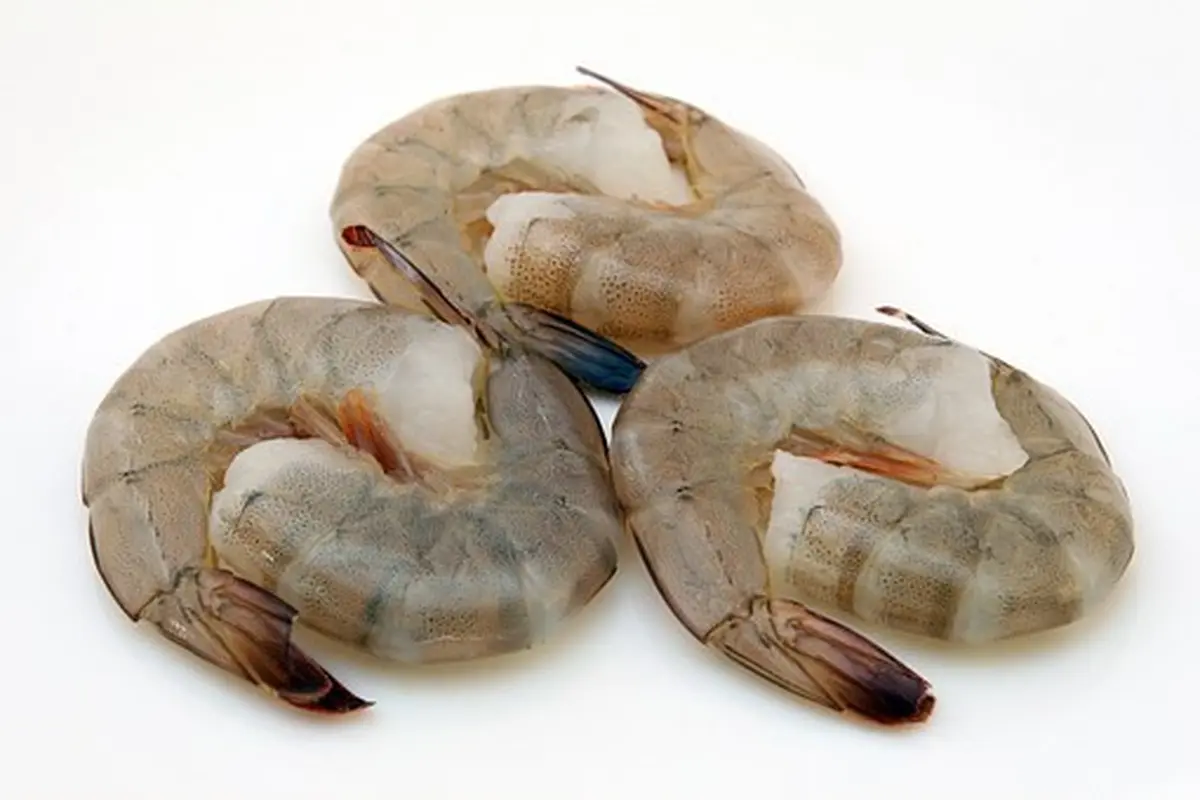 cara memasak udang