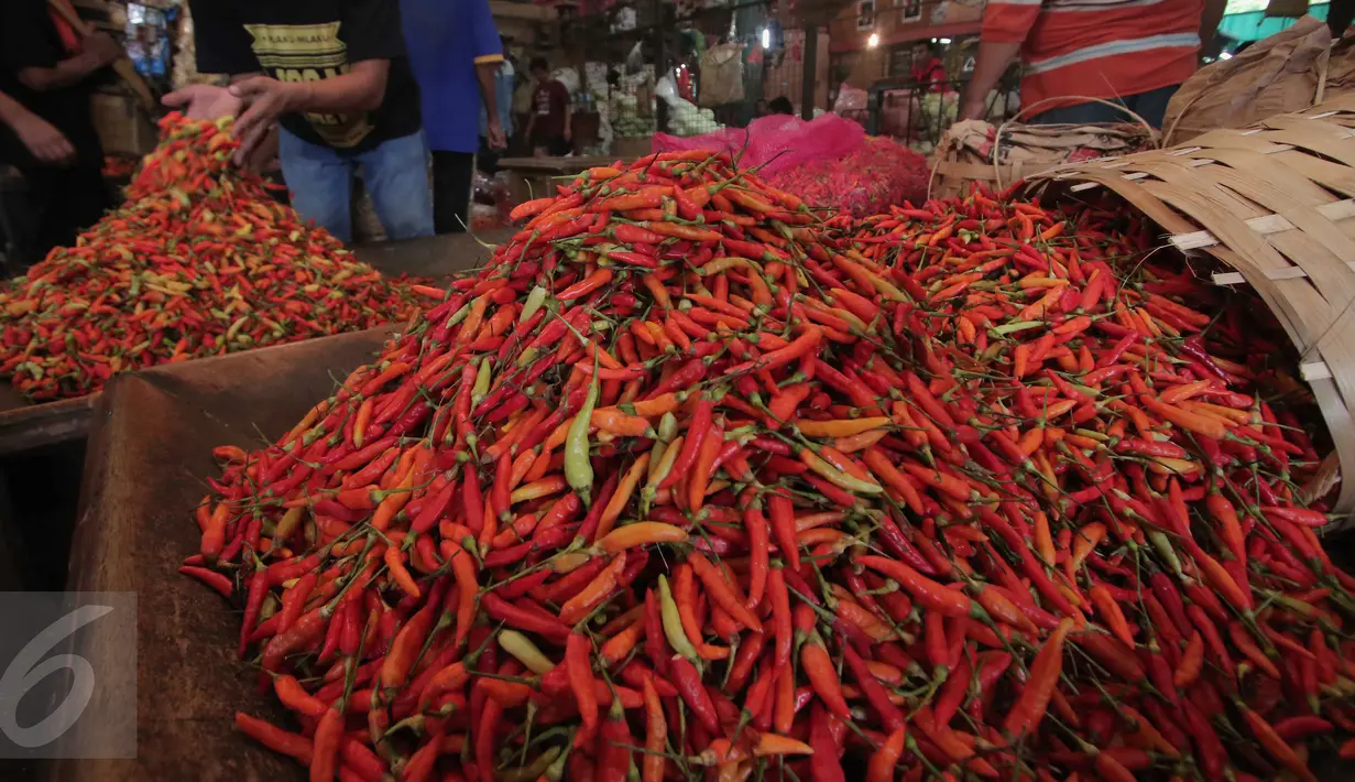 Pedagang tengah menata cabai dagangannya di Pasar Induk Kramat Jati, Jakarta, Selasa (24/11). Harga cabai, baik cabai merah keriting dan rawit, mengalami kenaikan di pasar tradisional. (Liputan6.com/Angga Yuniar)