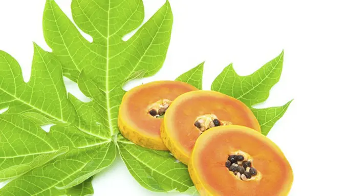 Foto: copyright thinkstockphotos.com