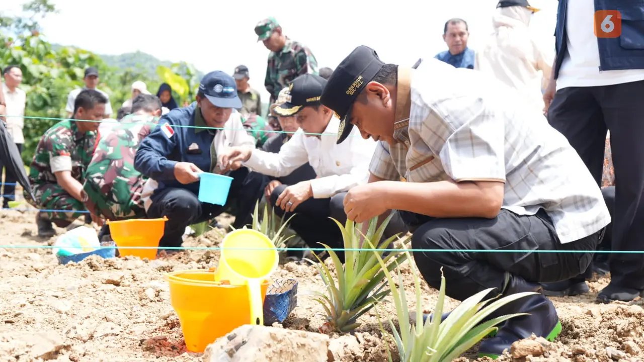 Pj Gubernur Sulsel Bahtiar Baharuddin tanam nanas di Barru (Liputan6.com/Istimewa)