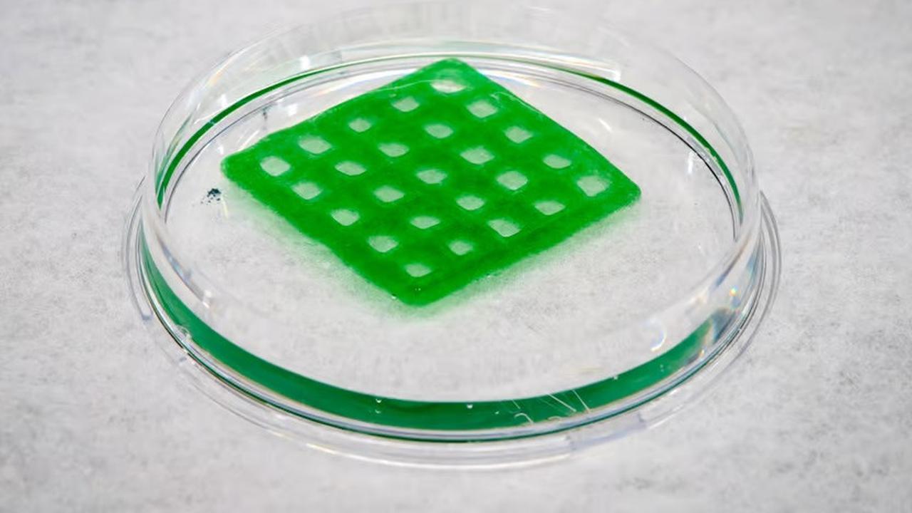 Bakteri Bunuh Diri Demi Memurnikan Air