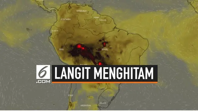 VIDEO: Kebakaran Hutan Amazon Berdampak Buruk di Brazil