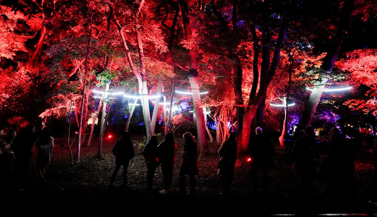 Selain aneka macam spesies tanaman, Carlos Thays Botanical Garden juga menawarkan oasis yang tenang dan memikat pengunjung dengan rangkaian flora serta patung-patung yang indah, aliran sungai, capung yang berdengung, dan kebun sayur organik. (AP Photo/Natacha Pisarenko)