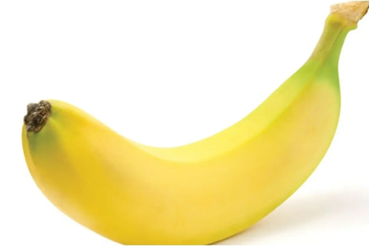 Foto: copyright shutterstock.com