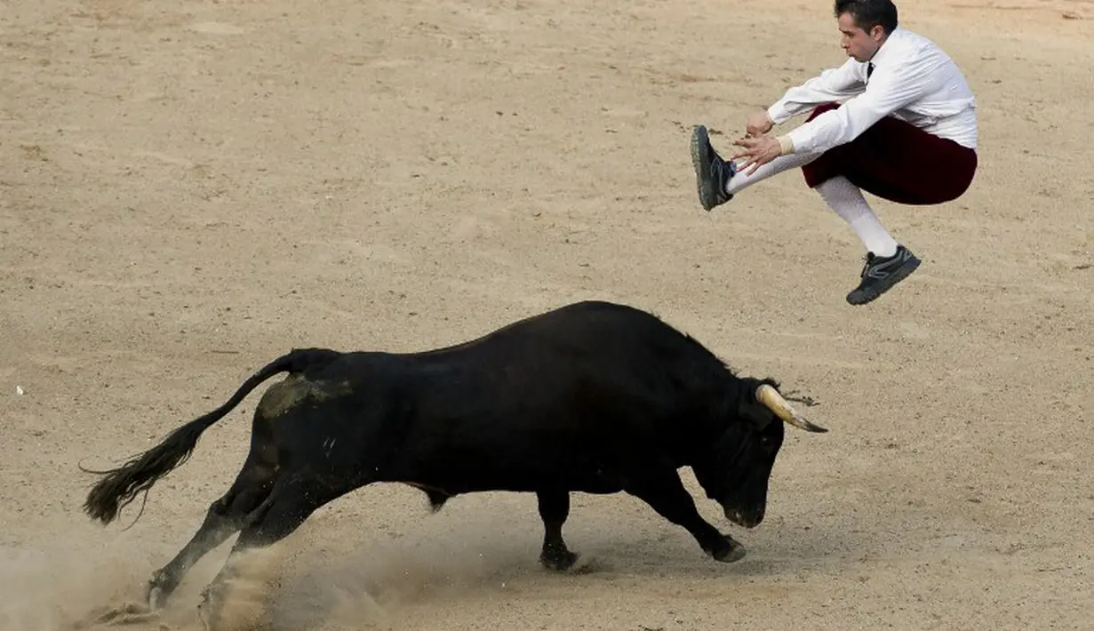 Seorang matador menghindari tandukkan banteng di arena adu banteng Canaveralejo di Cali, Kolombia, Senin (21/12/2014). (AFP Photo/Luis Robayo)