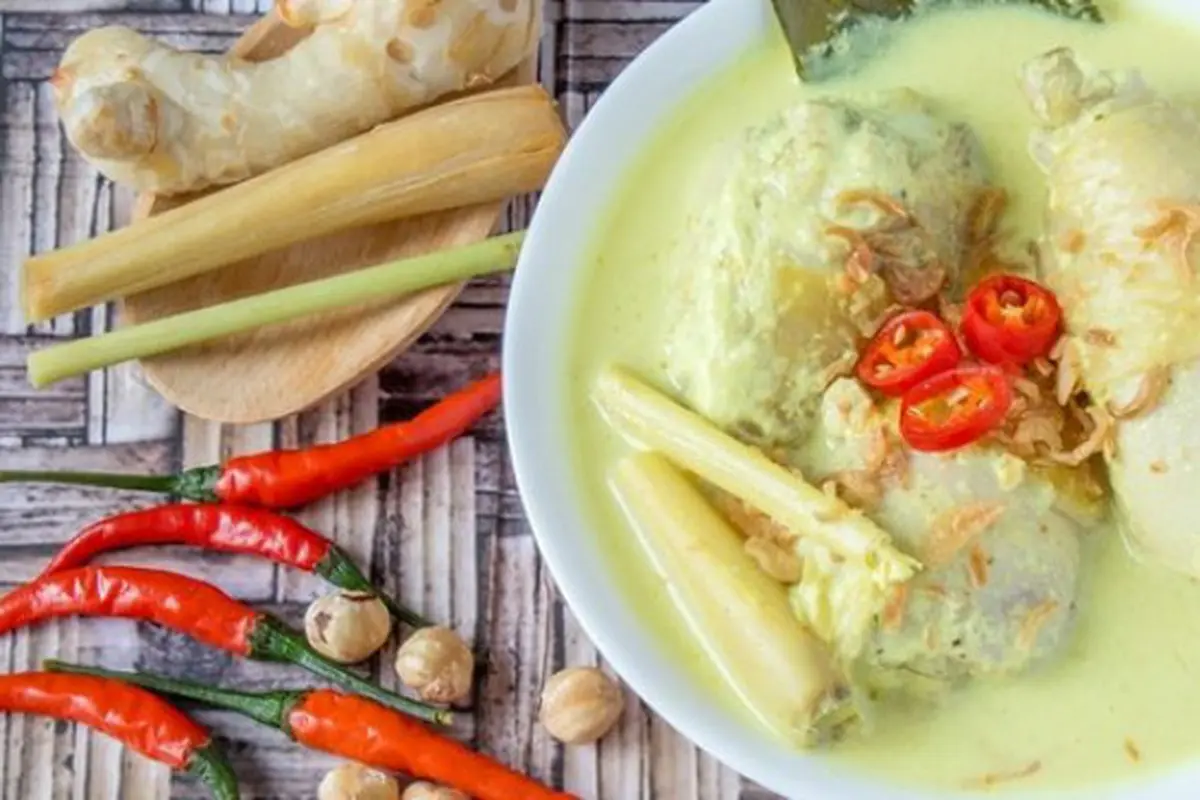 Ilustrasi opor ayam.