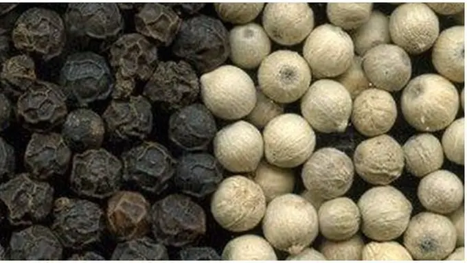 Foto: copyright Shutterstock.com