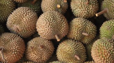 Durian - Vania